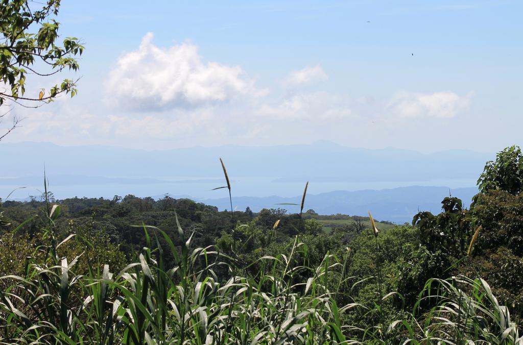 Casa Canitas Monteverde Eksteriør bilde