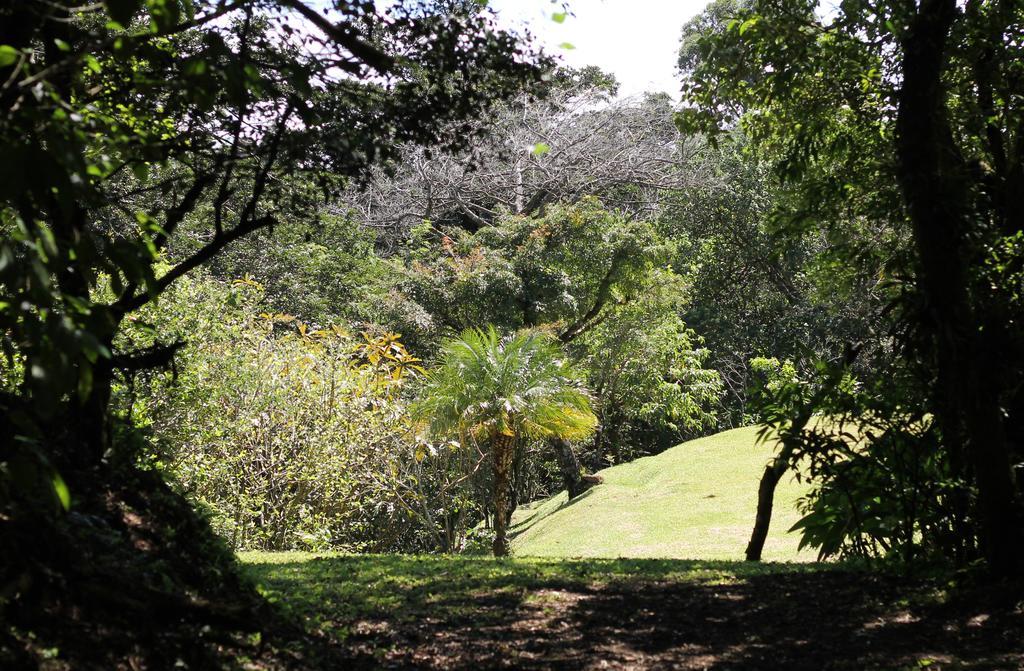 Casa Canitas Monteverde Eksteriør bilde