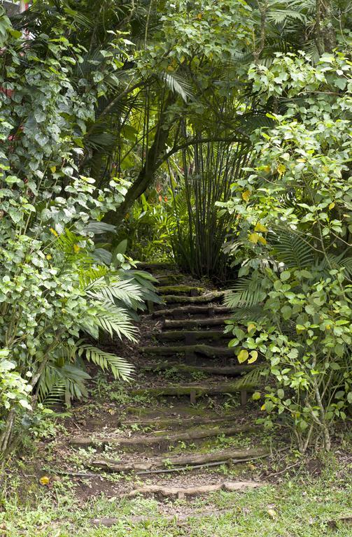 Casa Canitas Monteverde Eksteriør bilde